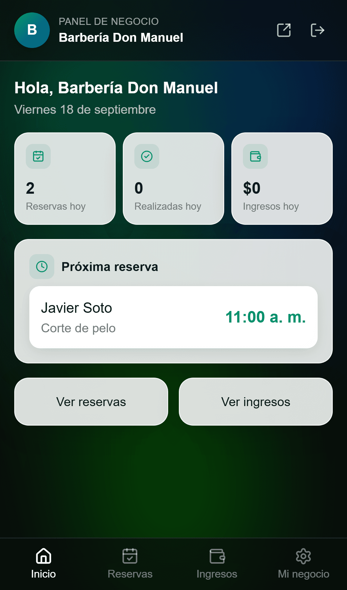 Resumen del negocio al abrir el panel